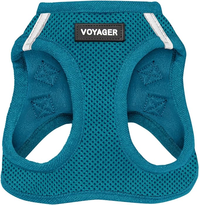 Best Pet Supplies Voyager Step-in Air Harness - All Weather Mesh, Reflective, No Pull Harness for Dogs, Cats - Secure with Hook & Loop Fastener, Buckle, Double D-Rings - Turquoise, S