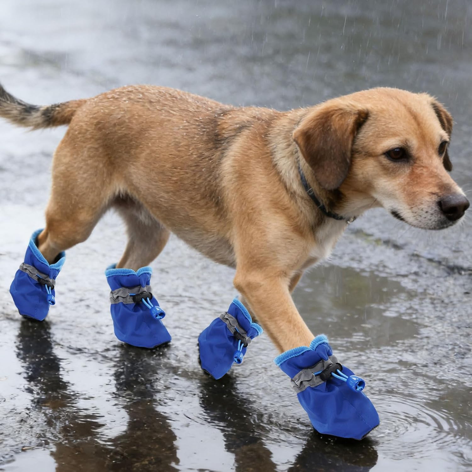 4Pcs Small Dog Shoes, Breathable Non-Slip Pet Booties, Puppy Paw Protectors 4-Pack Foot Covers for Small Breeds(Blue,L)