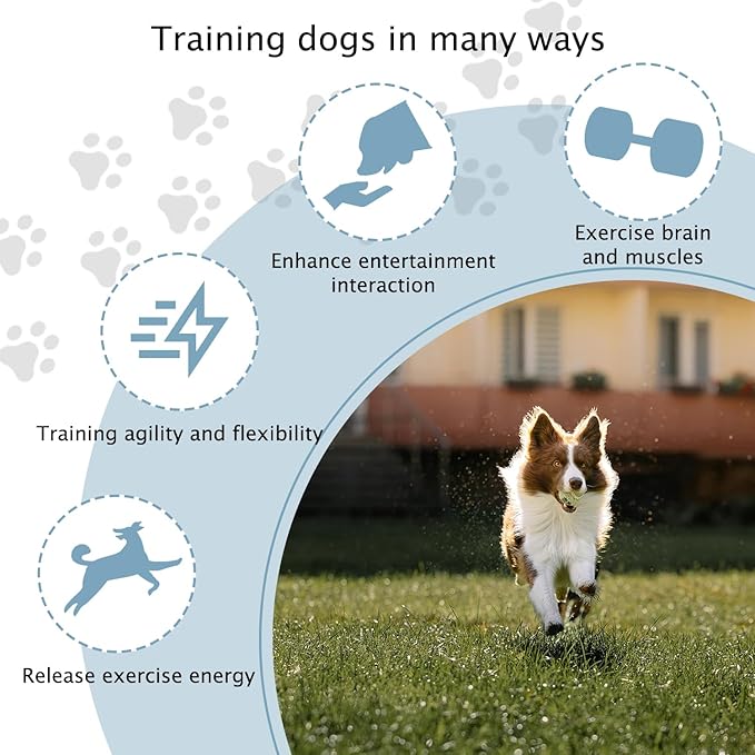 TNZMART Dog Agility Hurdle Cones Pet Jump Training Set Dog Agility Course Backyard Set Adjustable Obstacle Training Set (Blue, 6 Sets)
