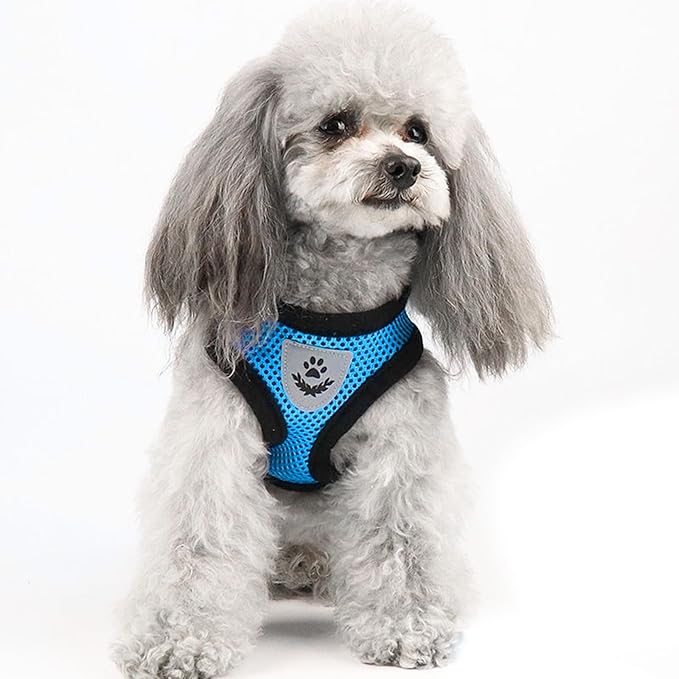 shudyear Summer cat Chest Harness and Leash, Anti-Escape Adjustable Soft mesh cat Leash and Chest Harness Set for All Types of Cats cat Vests(Size XL, Sky Blue)