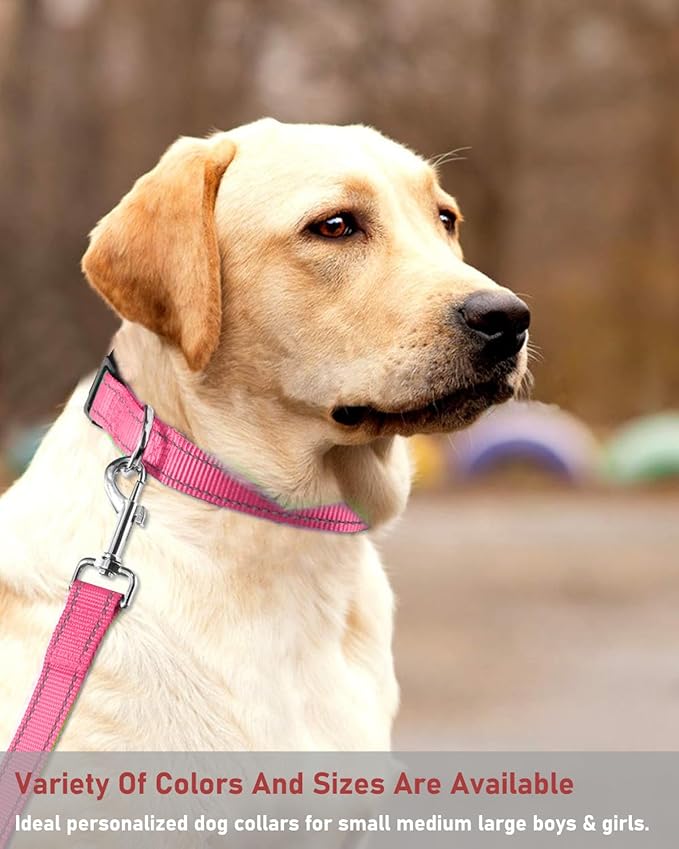Reflective Dog Collar with Buckle Adjustable Safety Nylon Collars for Small Medium Large Dogs, Light Pink XS