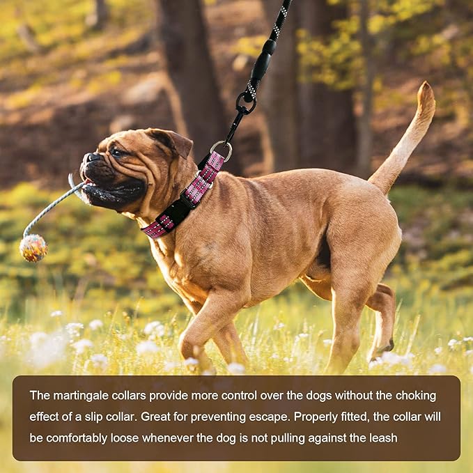 Hikiko Martingale Dog Collars Reflective Nylon Dog Collar with Quick Release Buckle Adjustable Training No Slip Dog Collar (Large, Pink)