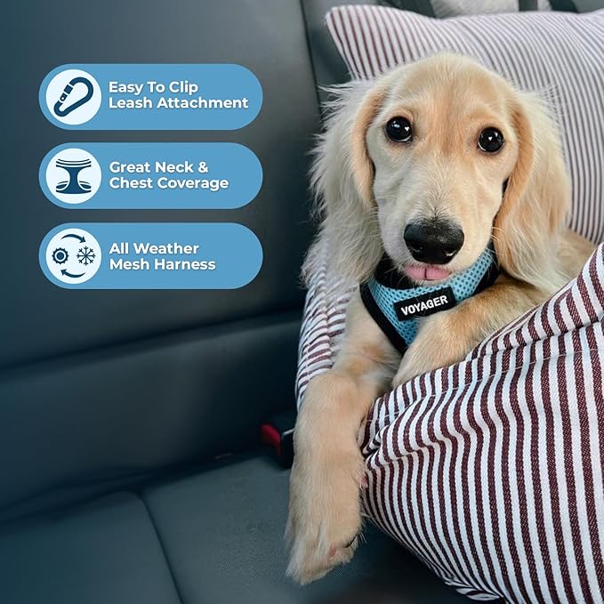Best Pet Supplies - All Weather Mesh / Plush, Reflective, No Pull Harness for Small, Medium Dogs, Cats - Secure with Hook & Loop Fastener, Buckle, Double D-Rings - Baby Blue/Black Trim, XS