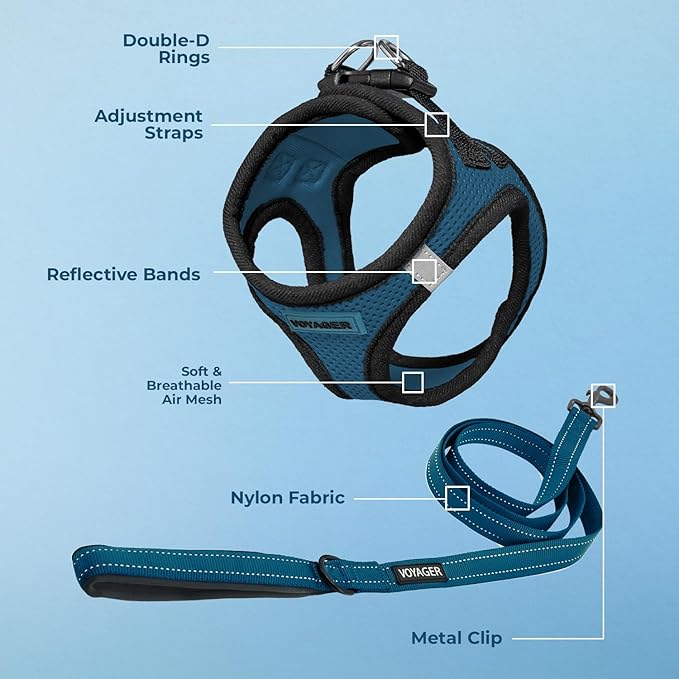 Best Pet Supplies Voyager Step-in Air All Weather Mesh Harness and Reflective Dog 5 ft Leash Combo with Neoprene Handle, for Small, Medium and Large Breed Puppies - Blue/Black Trim, XX-Small