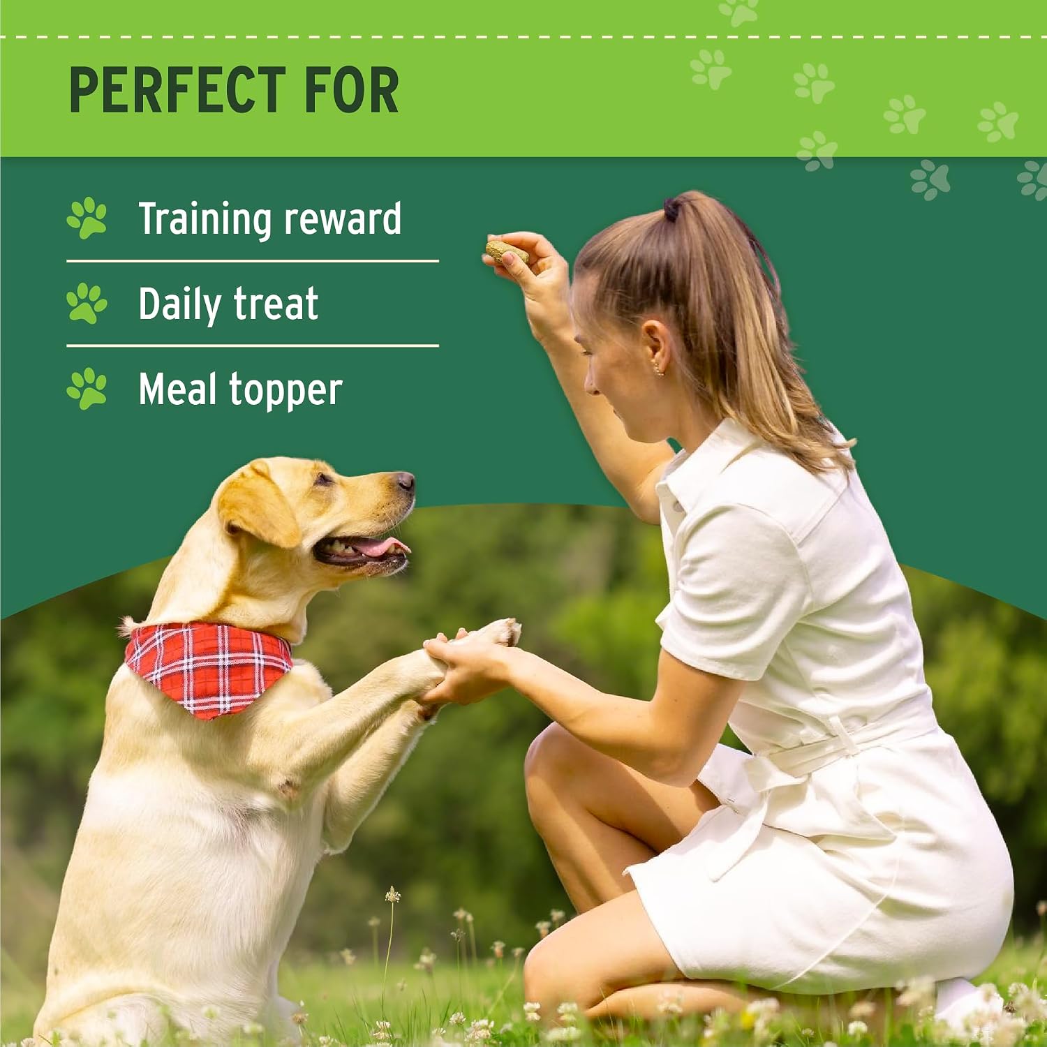 Nutri Bites Freeze Dried Beef Liver Dog & Cat Treats, Single Ingredient