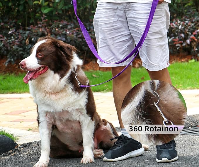 AMAGOOD Dog/Puppy Obedience Recall Training Agility Lead-15 ft 20 ft 30 ft 50 ft Long Leash-for Dog Training,Tie Out,Play,Safety,Camping (20Feet x 1Inch, Purple)