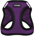 Best Pet Supplies Voyager Step-in Air Harness - All Weather Mesh, Reflective, No Pull Harness for Dogs, Cats - Secure with Hook & Loop Fastener, Buckle, Double D-Rings - Purple/Black Trim, XXXS