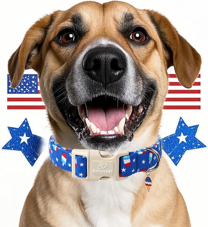 4th of July Dog Collar, Summer Popsicle Patriotic Dog Collars for Giant Large Dogs, Adjustable Lightweight Quick-Release Buckle Collar for Boy&Girl Dogs XL