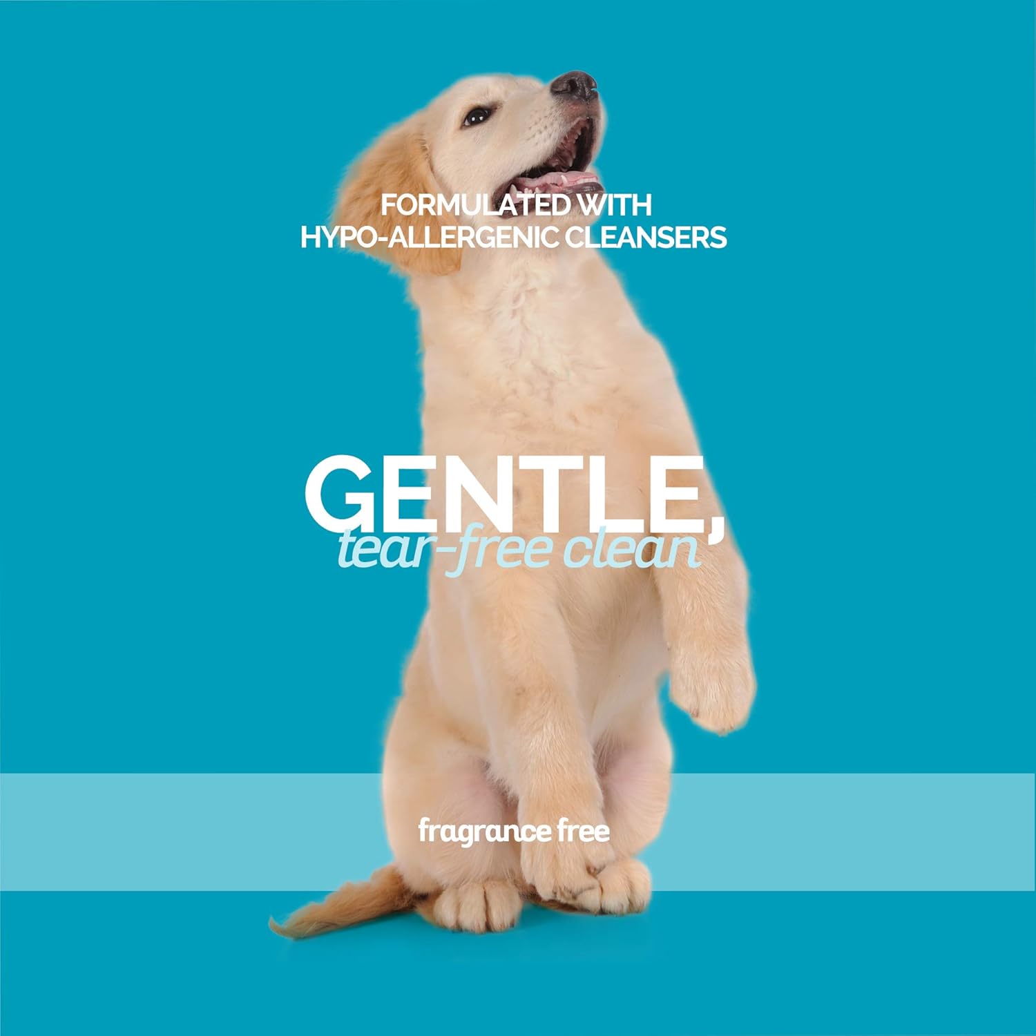 Bark2Basics Sensi-Skin Hypoallergenic Dog Shampoo, 1 Gallon, All Natural Ingredients, Sensitive Skin Pet Shampoo, Gentle, No Fragrance, Non-Irritating, For Dogs with Allergies and Dry, Itchy Skin | 16:1 Concentrate Makes 16 Gallons; Fragrance Free, Tear