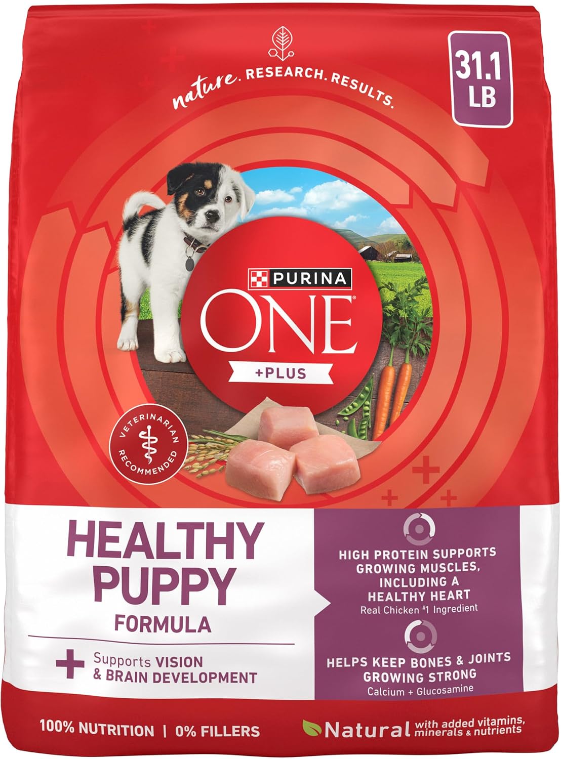 Purina ONE Plus Healthy Puppy Dry Food, Chicken, 31.1 lb Bag | High protein formula with real chicken, DHA to support vision and brain development and antioxidants for immune support