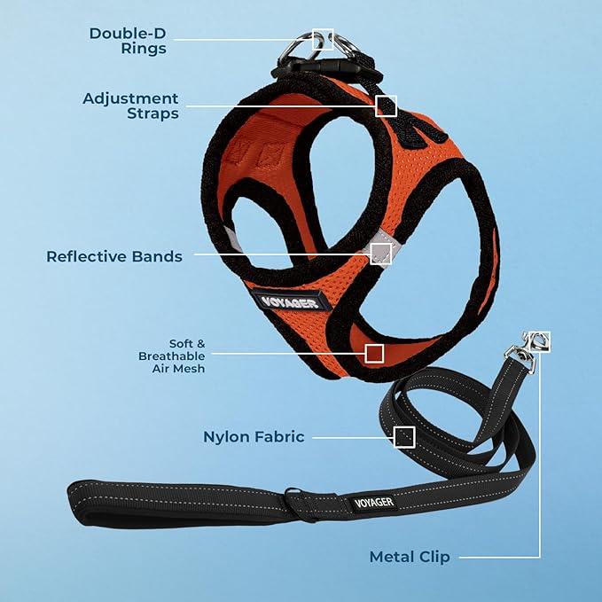 Best Pet Supplies Voyager Step-in Air All Weather Mesh Harness and Reflective Dog 5 ft Leash Combo with Neoprene Handle, for Small, Medium and Large Breed Puppies - Orange/Black Trim, Small