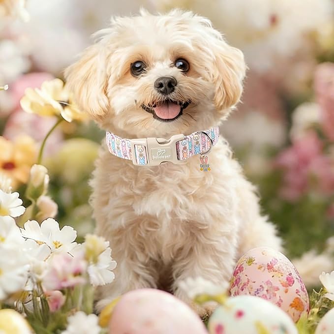 Easter Dog Collar for Medium Dogs - Pastel Bunny Easter Collars for Female Dogs, Cute Spring Girl Dog Collar, Lightweight Adjustable Cartoon Holiday Pet Collars M