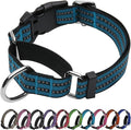 Martingale Dog Collar, Adjustable Nylon Reflective Collar with Quick Release Buckle (Gentian Blue, Medium)