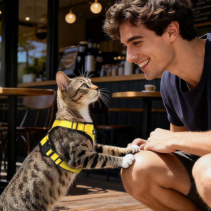 Dooradar Cat Harness and Leash Set, Escape Proof Safe Adjustable Kitten Vest Harnesses for Walking, Easy Control Soft Breathable Mesh Jacket with Reflective Strips for Cats, Yellow, S