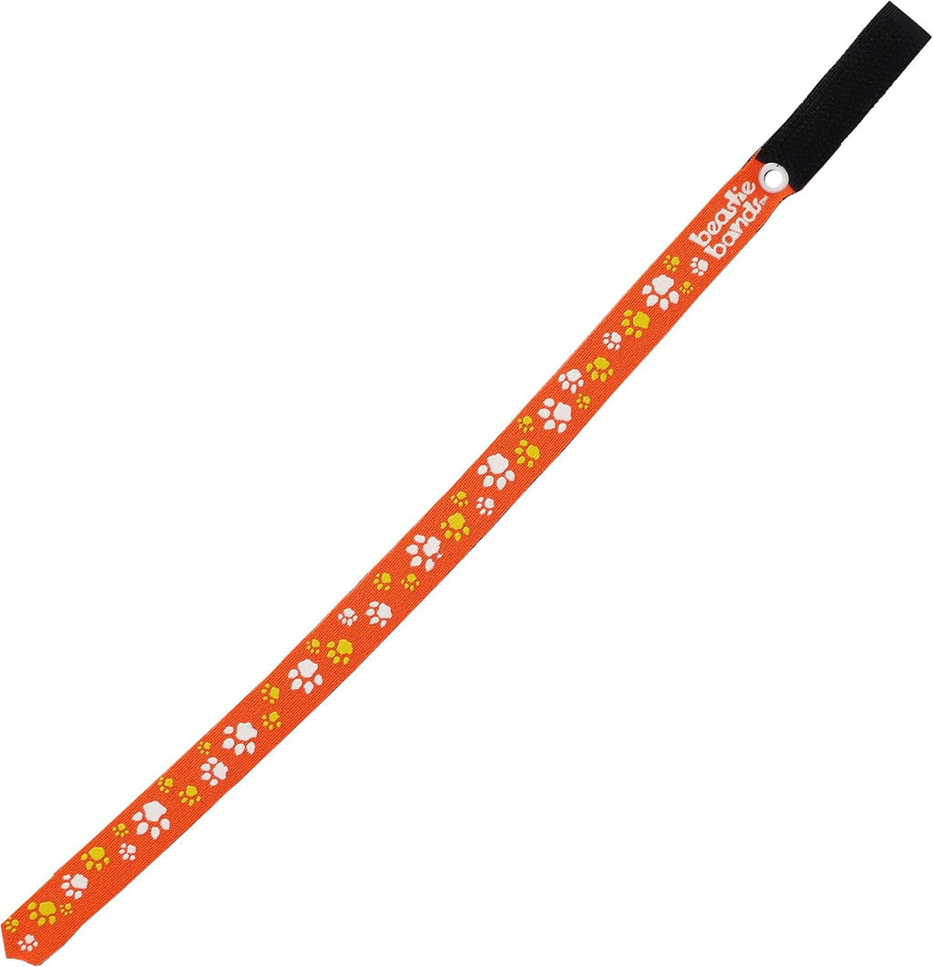 Cat Collar Paw Prints (Orange)