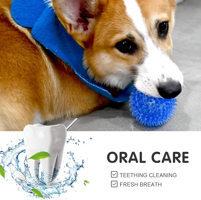 SHARLOVY Squeaky Balls for Pet Small Puppy, 6 Pack TPR Fetch Spike Balls for Dogs, Rubber 6 Pack Bright Colors Chew Teething Dog Toys, for Clean Teeth and Training, for Puppy Chew and Teething