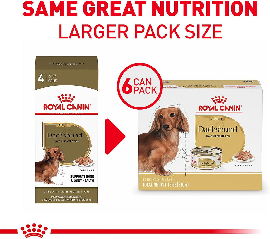 Royal Canin Dachshund Adult Wet Dog Food, 3 oz, 6-Pack | Muscle Support with L-Carnitine, Muscle Tone Support, For Adult Dachshunds 10+ Months, Loaf in Sauce