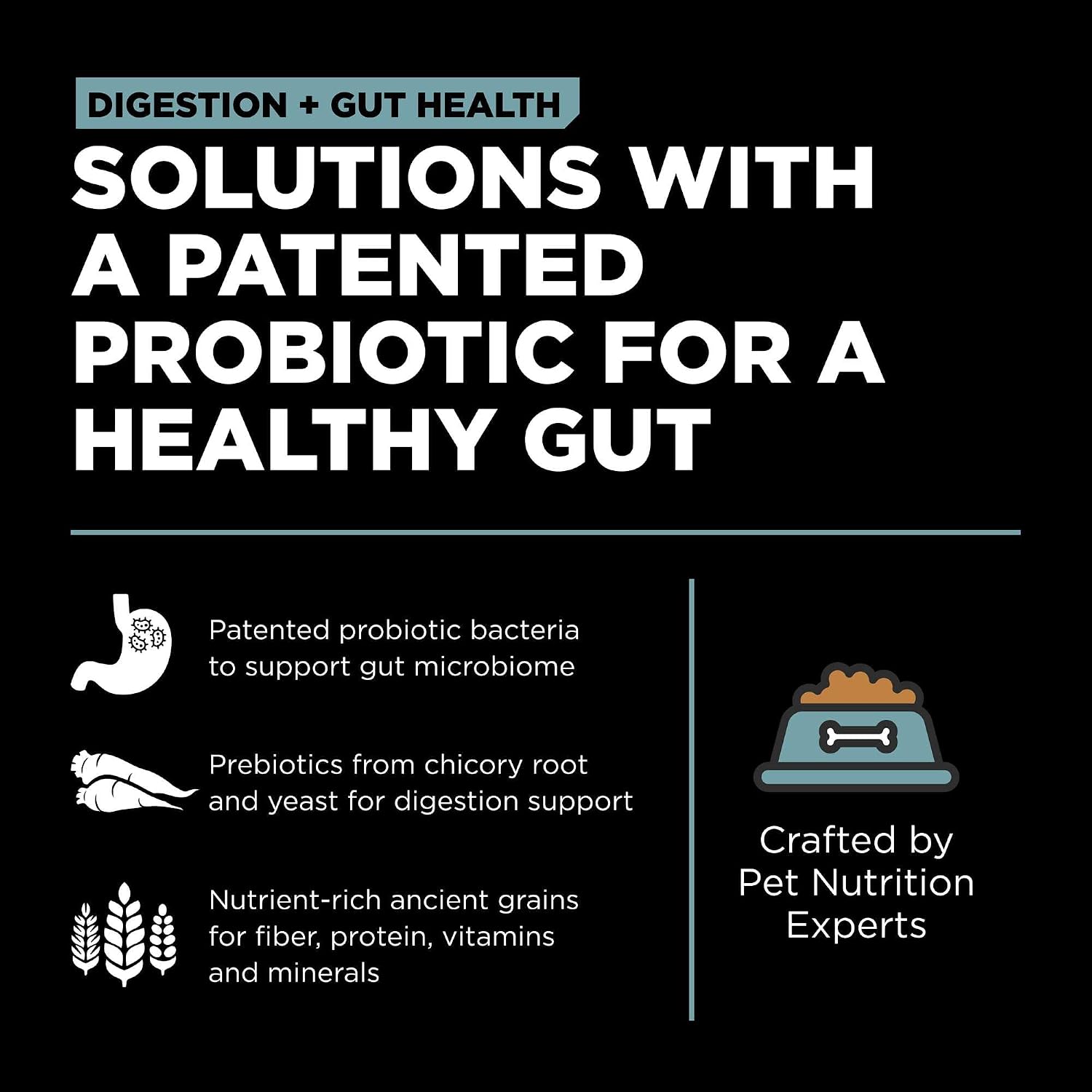 Go! Solutions Digestion + Gut Health Chicken Dry Dog Food, 3.5 lb | Fiber-Rich Kibble for Gastrointestinal & Digestive Wellness, Supports Sensitive Stomachs, For Puppies, Adults & Seniors