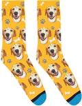 DivvyUp Socks - Custom Dog Socks - Put Your Dog on Socks! (Small, Orange)