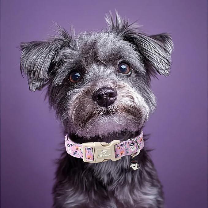 Halloween Dog Collar Cute Wizard Ghost Puppy Collar - Light Comfortable Adjustable Pet Collars for Small Medium Large Girl Boy Dogs M