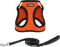 Best Pet Supplies Voyager Step-in Air All Weather Mesh Harness and Reflective Dog 5 ft Leash Combo with Neoprene Handle, for Small, Medium and Large Breed Puppies - Orange/Black Trim, XX-Small