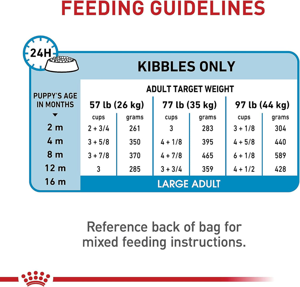Royal Canin Size Health Nutrition Large Puppy Dry Dog Food, 40 lb Bag | Tailored Nutrition for Large Breed Puppies, Supports Healthy Growth, Enriched With Antioxidants, 40 lb Resealable Bag
