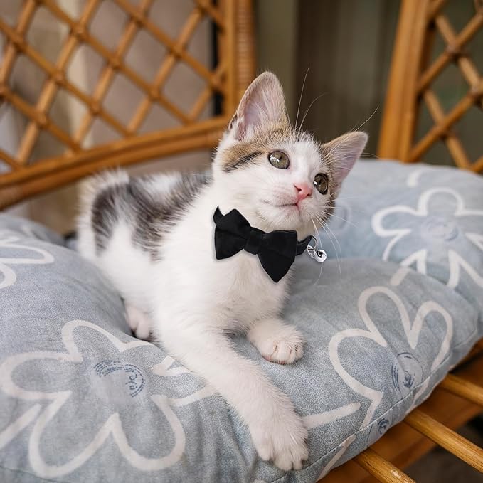 2 Pcs Velvet Cat Collar Cute Cat Bow Tie Collar Adjustable Breakaway Collars with Bell and Bow Tie Solid Color Removable Cats with Safety Buckle for Cats Kitten Puppy Pet Accessories