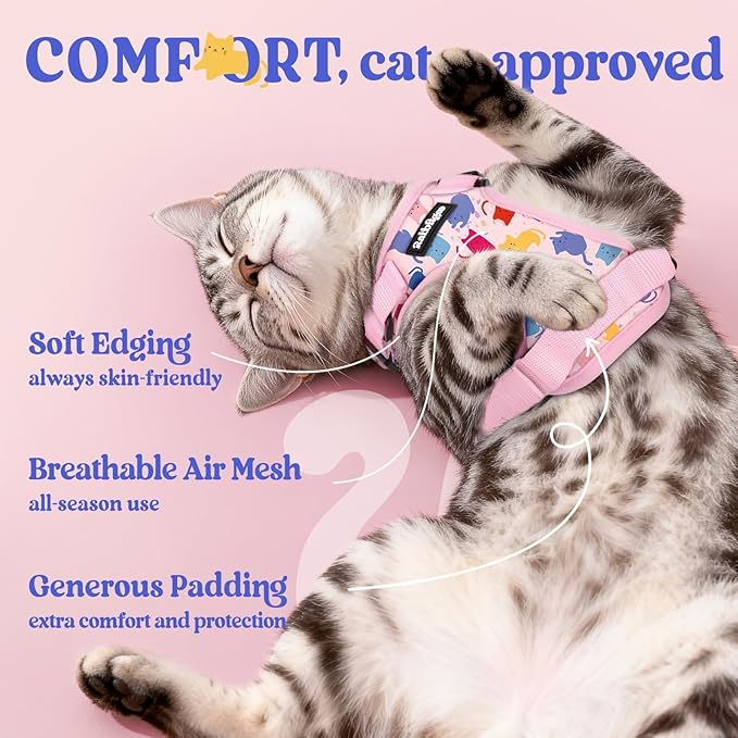 rabbitgoo Cat Harness and Leash for Walking, Escape Proof Soft Adjustable Vest Harnesses for Cats, Easy Control Breathable Reflective Strips Jacket, Purrty Pink, S
