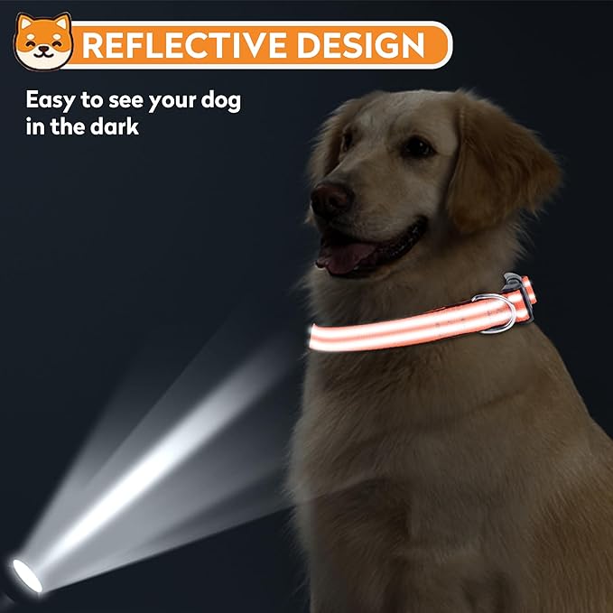 Reflective Dog Collar, Adjustable Soft Neoprene Padded Nylon Pet Collars with Buckle for Large Dogs, Orange,L