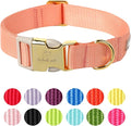 Nylon Dog Collar - Adjustable Orange Soft Webbing Dog Collars for Small Medium Large Dogs Boy Girl Puppy Collar with Safety Metal Buckle L