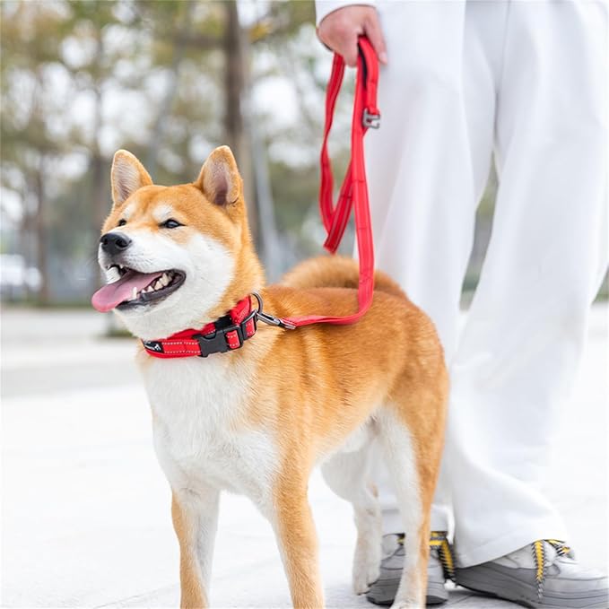 EXCELLENT ELITE SPANKER Reflective Dog Collar Classic Soft Padded Breathable Nylon Adjustable Pet Collar with Quick Release Buckle for Boy Girl Male Female Small Medium Large Dogs Training(Red-M)