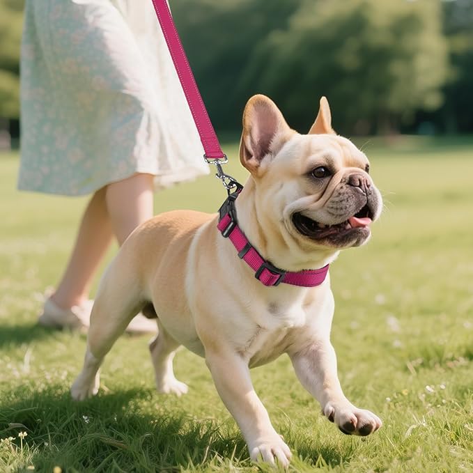 Joytale Reflective Dog Collar,Soft Neoprene Padded Breathable Nylon Pet Collar Adjustable for Medium Dogs,Hotpink,M