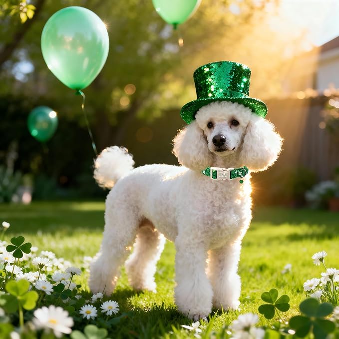 St. Patrick's Day Dog Collar for Small Dogs - Bold Green Lucky Clover Dog Collars, Cute Irish Party Shamrock Puppy Collar, Lightweight Adjustable St. Patricks Day Pet Collars S
