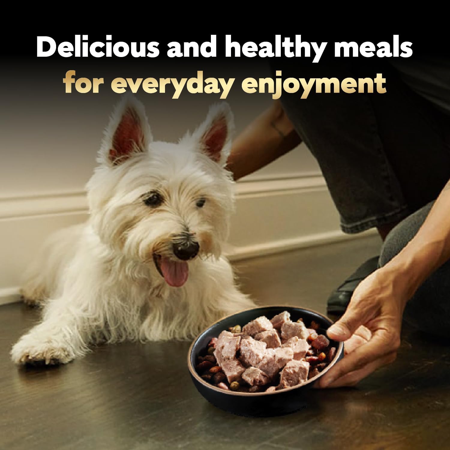 Cesar Classic Loaf in Sauce Wet Dog Food, Variety Pack, 3.5 oz, 60 Count | Made in USA, No fillers or artificial flavors, slow-cooked juicy texture, works as a meal or food topper, easy peel trays