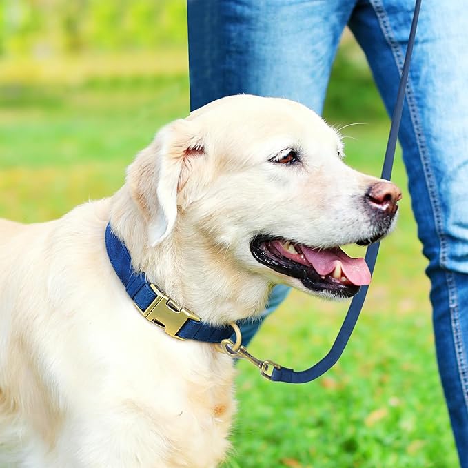 Genuine Leather Dog Collar - Adjustable Pet Collar with Quick Release Metal Buckle, Soft Skin Friendly Real Leather Collar for Small, Medium, Large Dogs (Blue Collar + Rope, M：Fit 12-20" Neck)