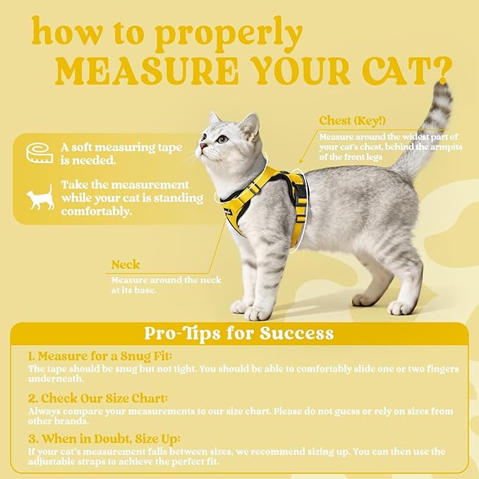 rabbitgoo Cat Harness and Leash for Walking, Escape Proof Soft Adjustable Vest Harnesses for Cats, Easy Control Breathable Reflective Strips Jacket, Yellow, M