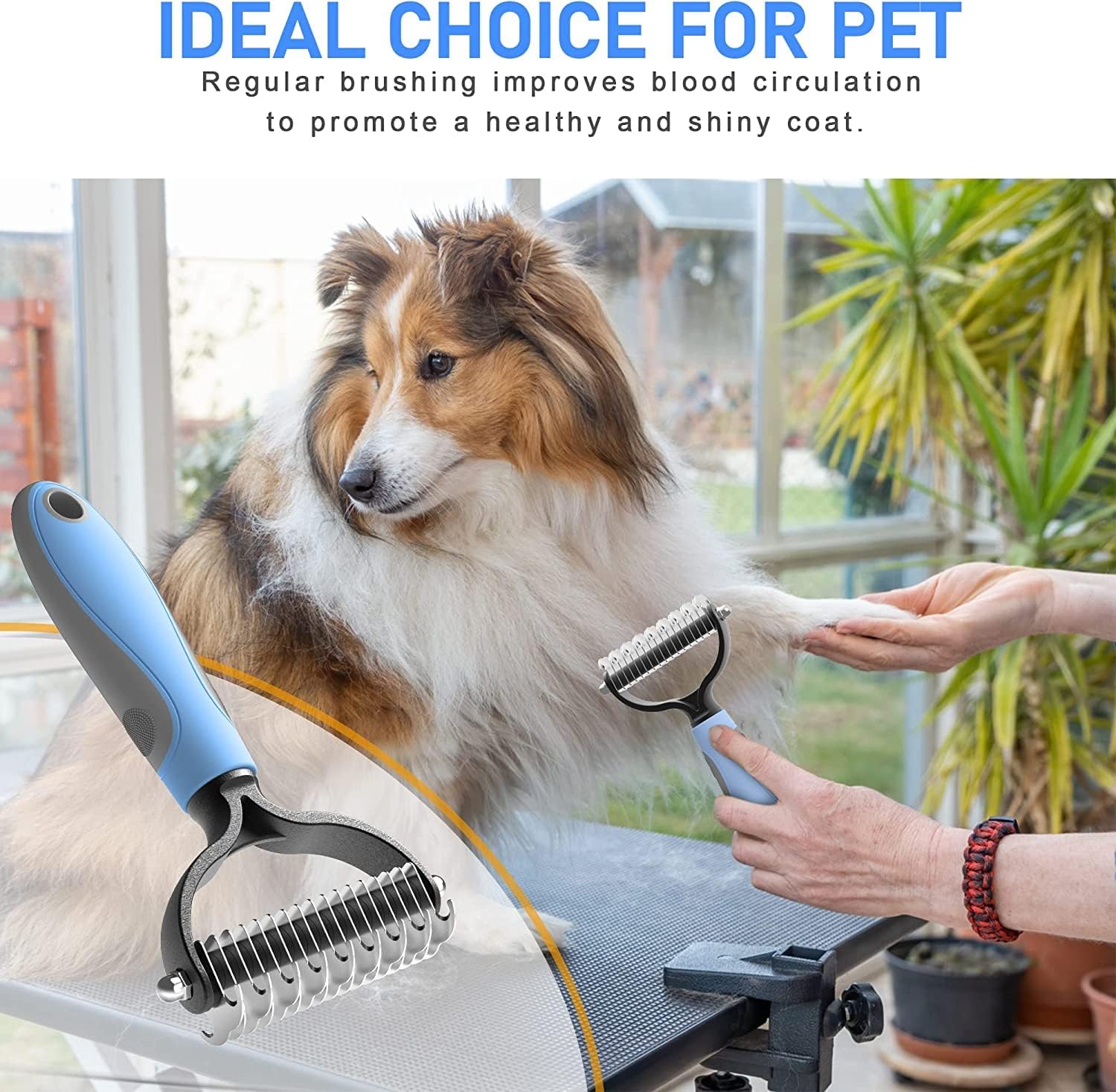 Grooming Tool- Dog and Cat Dematting Comb and Brush with 2 Sided Professional Grooming Rake (Blue, Grey)