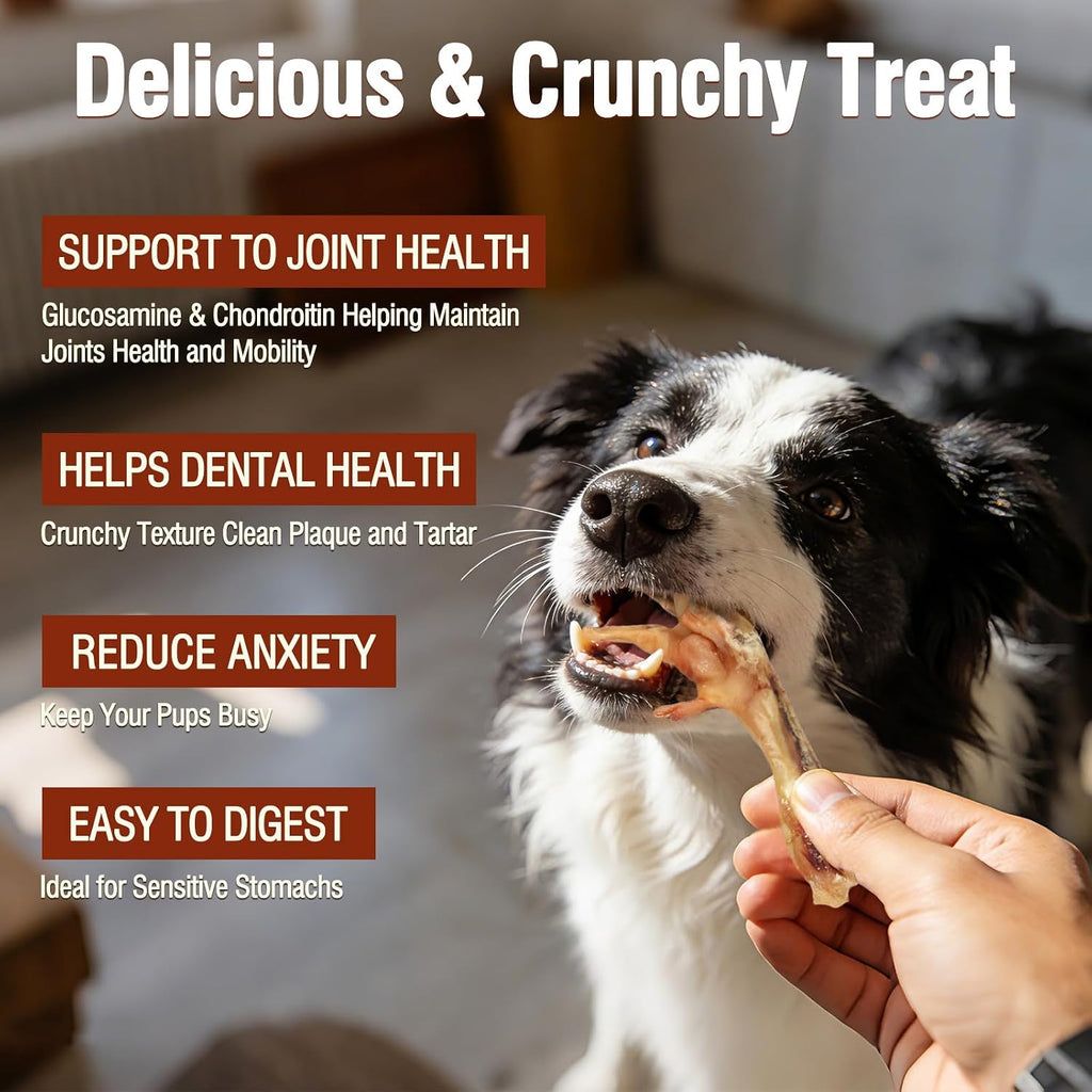 Dehydrated Chicken Feet Dog Treats - Single Ingredient Nail-Free High Protein Dog Chews, All Natural Treats for Joint & Dental Health