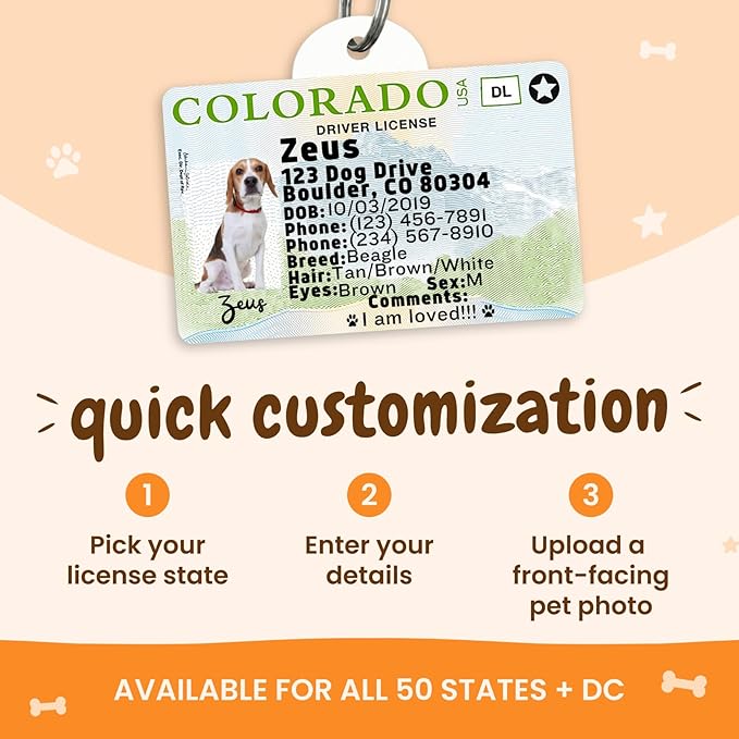 PawFurEver Personalized Dog Driver License ID Tag for Dogs & Cats - Custom Pet License Dog ID Tags Personalized Heavy Duty with Name, Photo & Phone Number, 50 States + DC (Iowa, Tag)