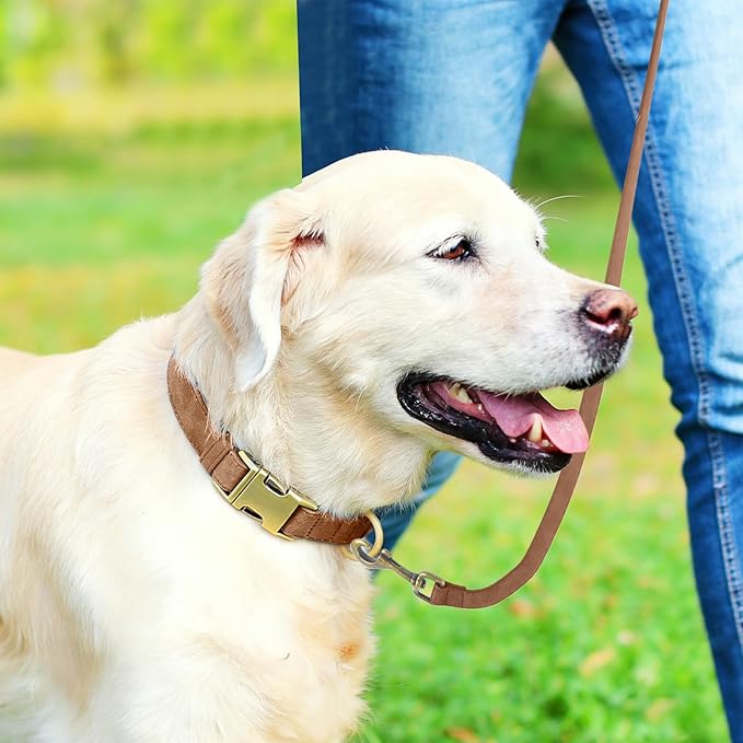 Genuine Leather Dog Collar - Adjustable Pet Collar with Quick Release Metal Buckle, Soft Skin Friendly Real Leather Collar for Small, Medium, Large Dogs (Brown Collar + Rope, M：Fit 12-20" Neck)