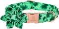 Lionheart Glory St. Patrick's Day Dog Collar, Dog Collar with Flower, Cute Floral Pattern Pet Collars Adjustable Pet Collars for X-Small Dogs
