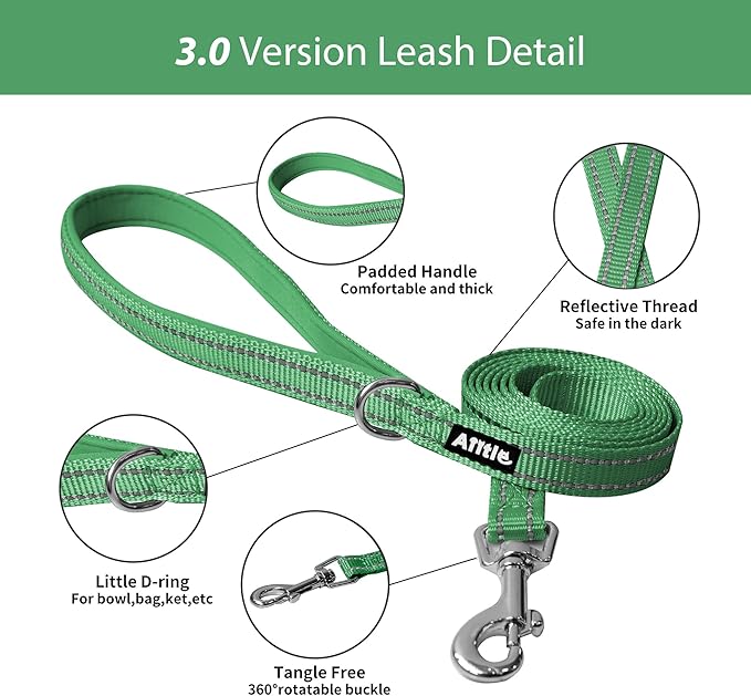 AIITLE Step in Dog Harness and Leash Set - No Pull Escape Proof Vest Harnesses with Soft Mesh and Reflective Bands, Adjustable Pet Outdoor Harnesses for Small and Medium Dogs Green M