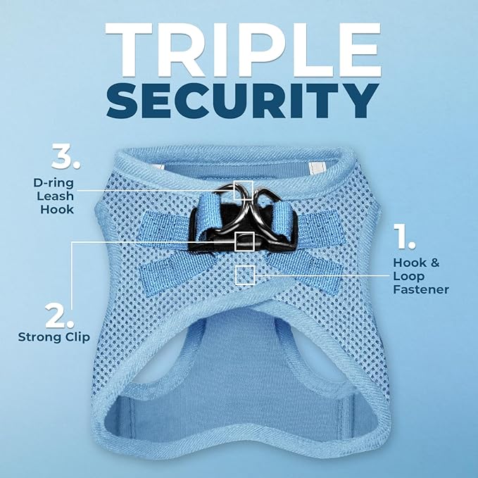 Best Pet Supplies Voyager Step-in Air All Weather Mesh Harness and Reflective Dog 5 ft Leash Combo with Neoprene Handle, for Small, Medium and Large Breed Puppies - Set (Baby Blue), L