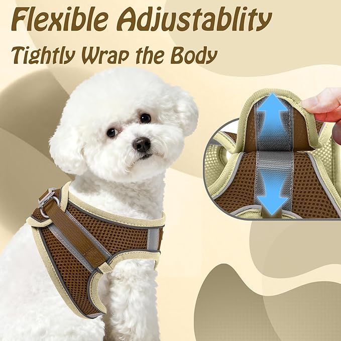 AIITLE No Pull Dog Harness and Leash Set, Step in Adjustable Dog Harness with Padded Vest for All Weather, Dog Leash with Soft Padded Handle, Easy to Put on Small and Medium Dogs Beige S