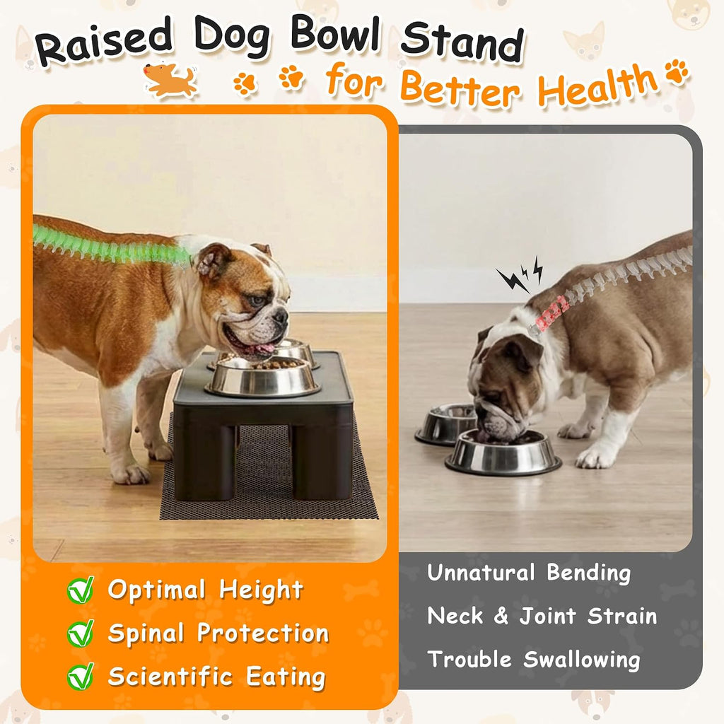 Elevated Dog Bowl Stand with Waterproof Dog Food Mat, Non-Slip, 1 Pc, Black | Reduce Neck & Joint Strain, Easy to Clean Silicone Pet Feeding Mat, Sturdy Legs, Ideal for Small & Medium Dogs and Cats