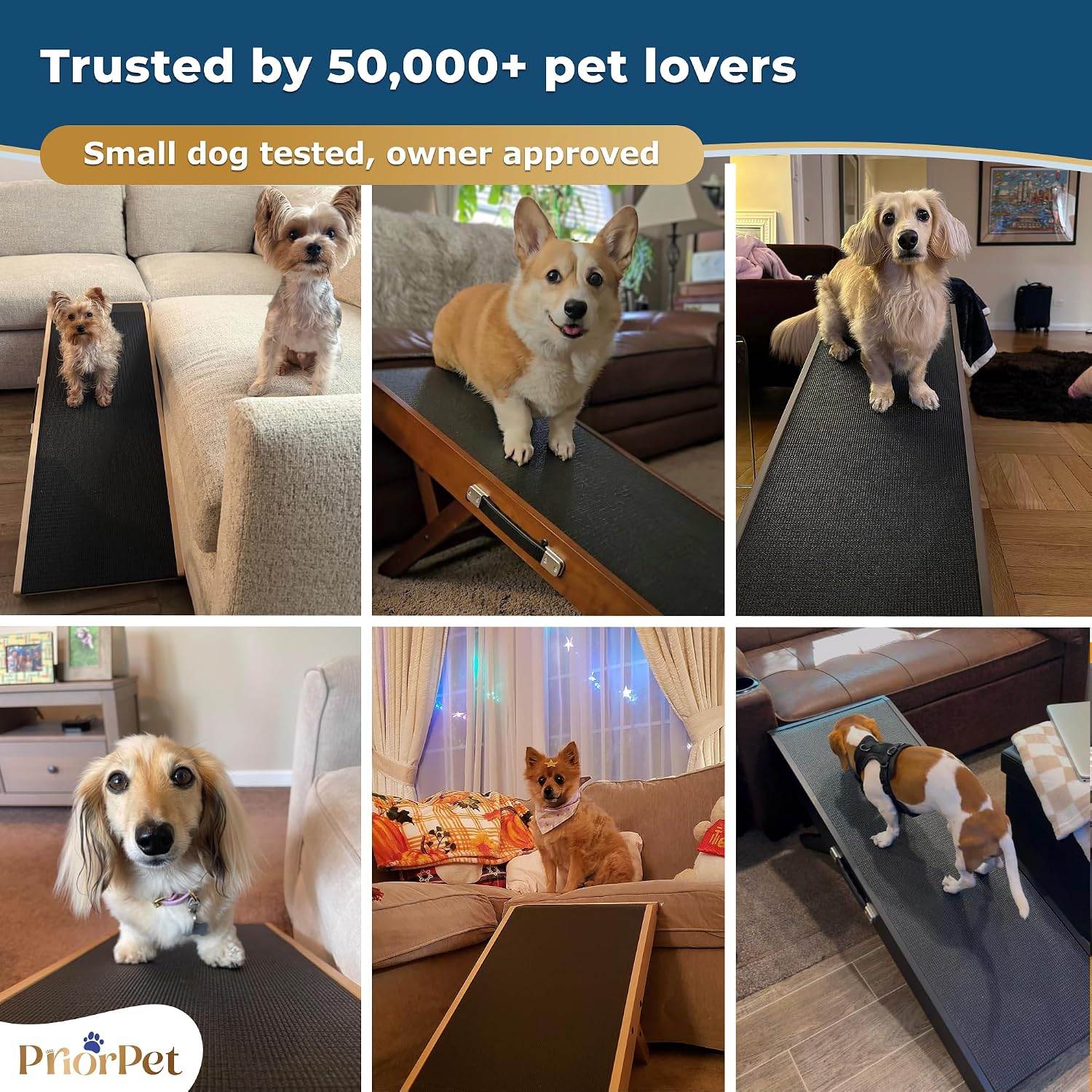 Dog Ramp for Couch – Non-Slip, Sturdy Build Foldable Wooden Dog Ramp – Supports up to 200 lbs – 7 Adjustable Heights (14"–20.5") – Enhanced Stability – Birchwood Pet Ramp for Small Dogs – Natural