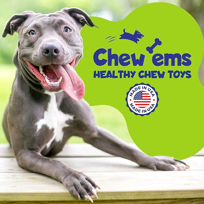 Chew’EMS X Bone Dog Chew Toy for Aggressive Chewers – Long-Lasting Beef Flavor Nylon Bone – Durable, Rawhide-Free Dental Toy - Small Size – Made in USA