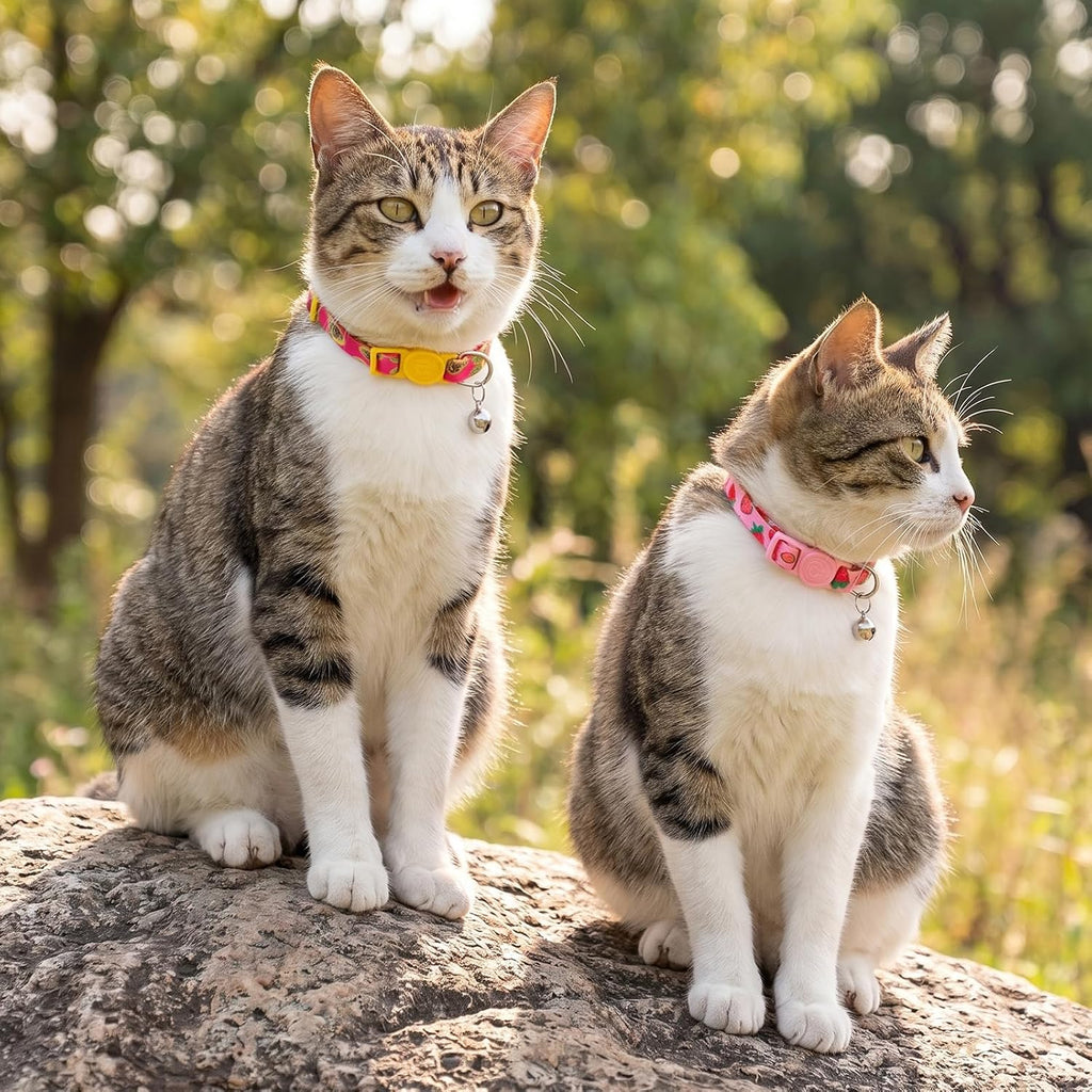azuza 4 Pack Cat Collars, Breakaway Buckle Cat Collar with Bell, Fruit | Secure Quick Release Buckle, Easy Adjustment, Removable Bell for Added Safety, Soft Nylon Webbing, Boy Girl Cat Collars