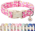 Summer Daisy Dog Collar, Cute Floral Adjustable Pink Dog Collars for Giant Large Dogs, Lightweight Quick-Release Buckle Collar for Boy&Girl Dogs XL