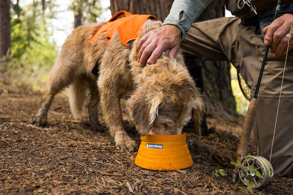 Ruffwear, Bivy Collapsible Dog Bowl, 60 fl oz, Salamander Orange, Medium | Waterproof Welded Single-Wall Fabric, Ultralight Portable Fold-Flat, Non-Slip Bottom, Accessory Loop, Reflective Trim, 1.8 L